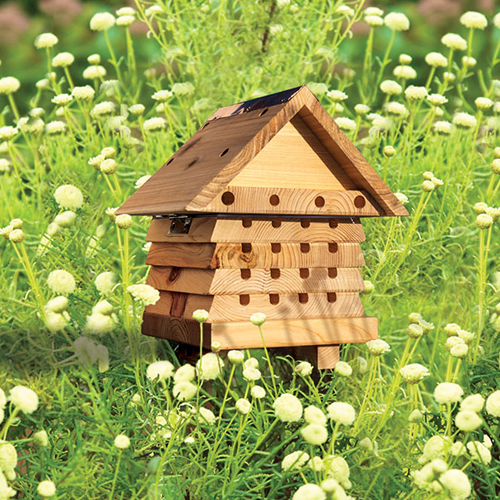 Interactive Solitary Bee Hive