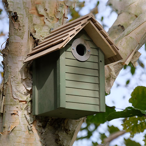 New England Nest Box