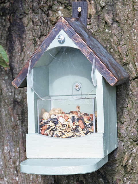 Squirrel Feeder