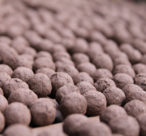 Wildflower Seedballs