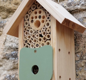Beehives and Bird Boxes