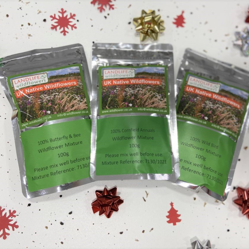 Wildflower seeds Christmas Gift Stocking Filler