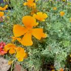 ColourMax 3