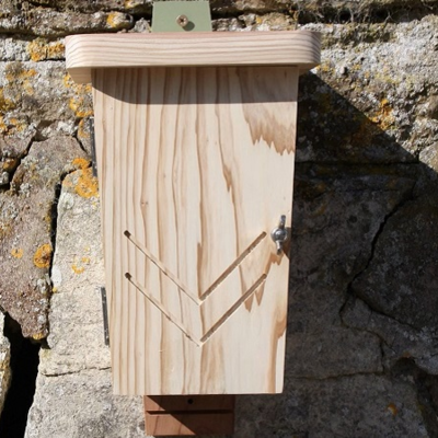 Original Bat Box