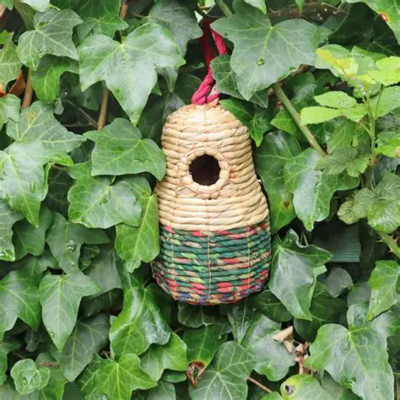 Wild Bird Nester